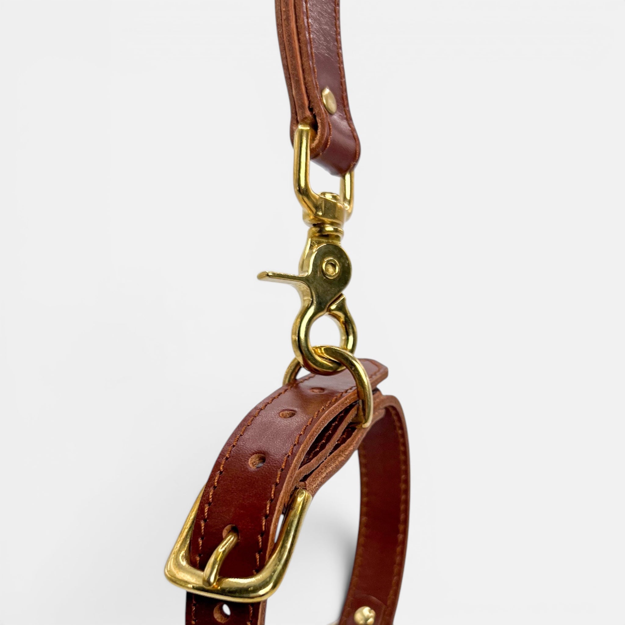 Mocha Leather Dog Lead