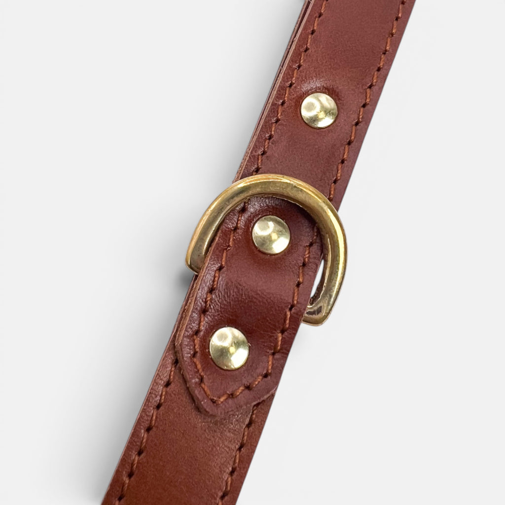 Mocha Leather Dog Lead
