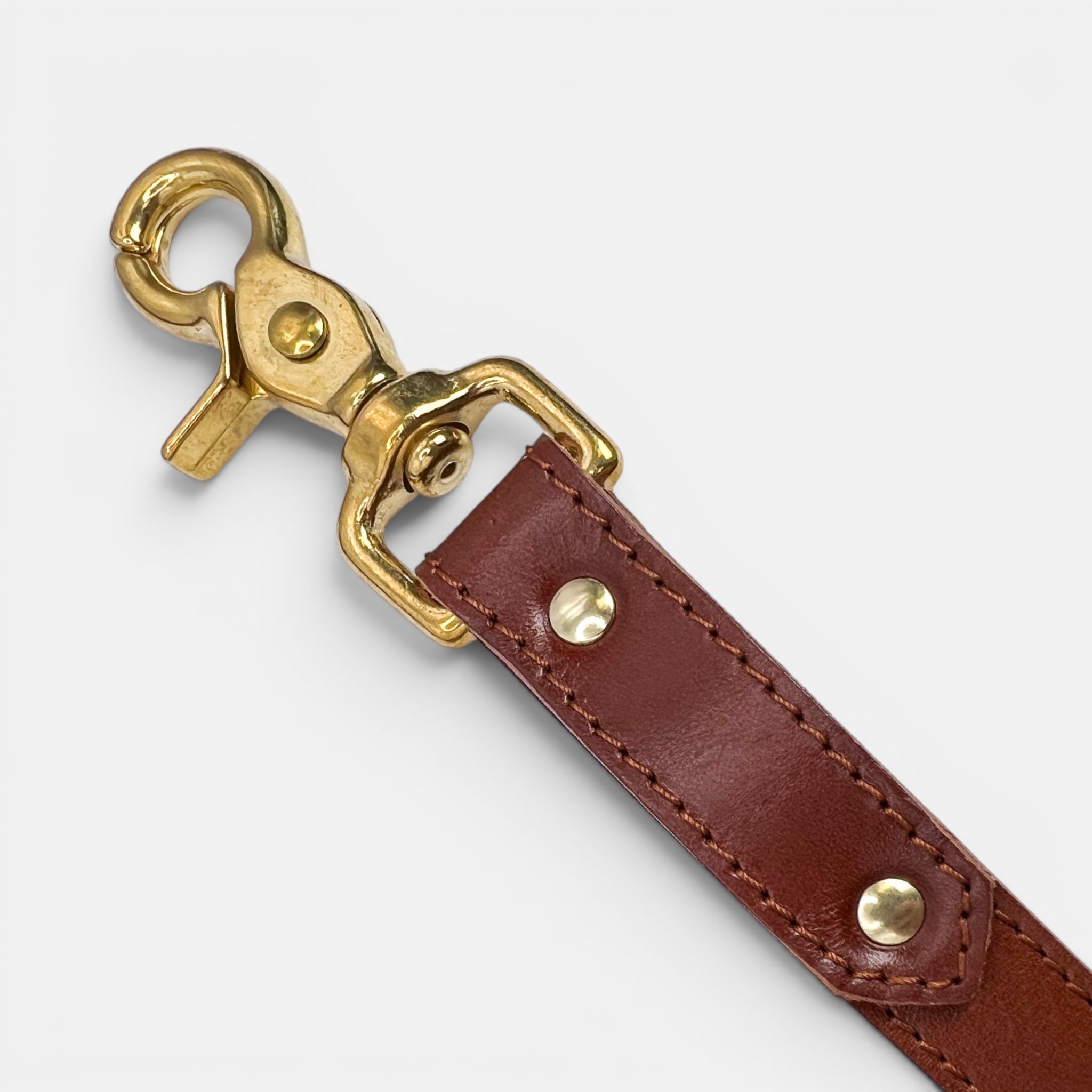 Mocha Leather Dog Lead