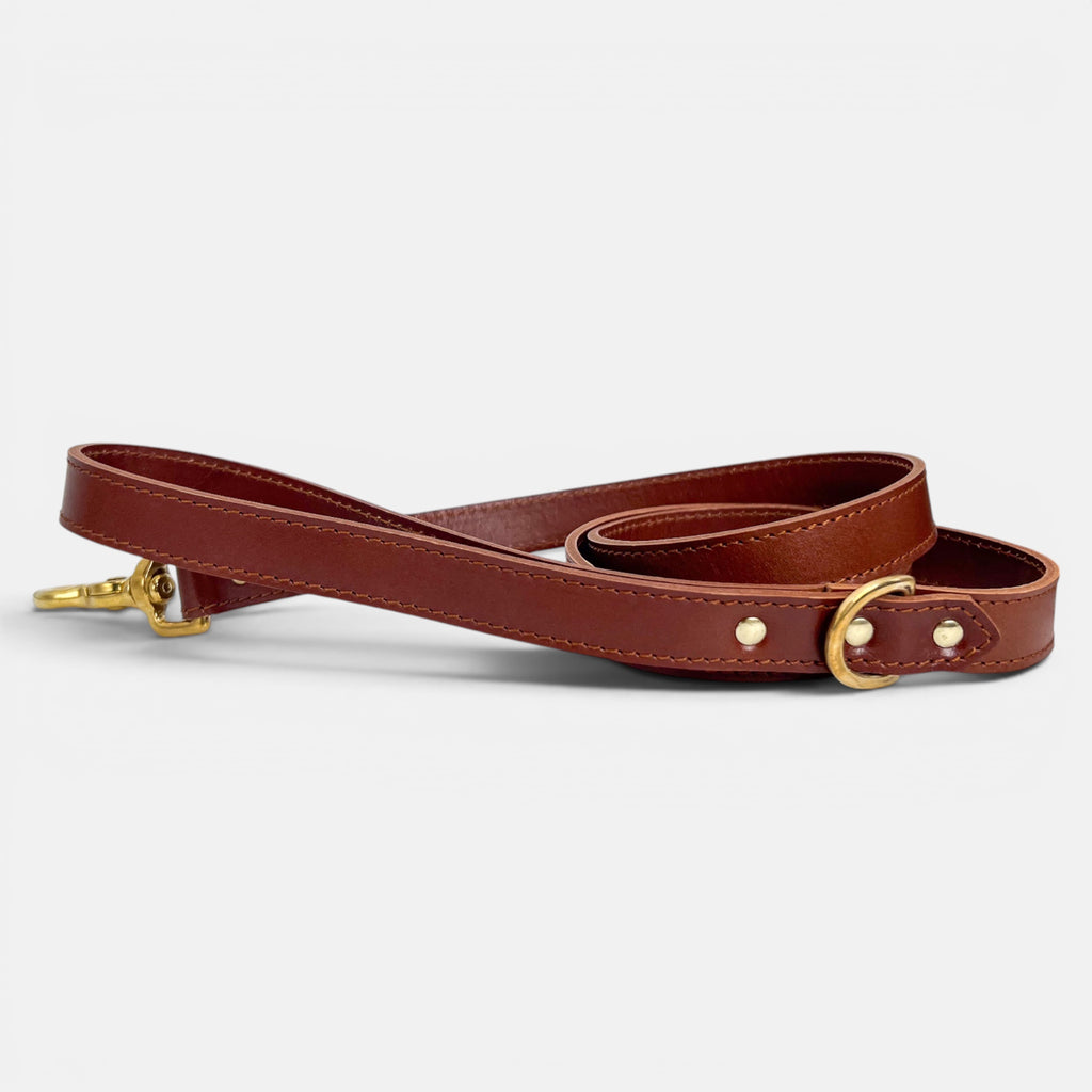 Mocha Leather Dog Lead