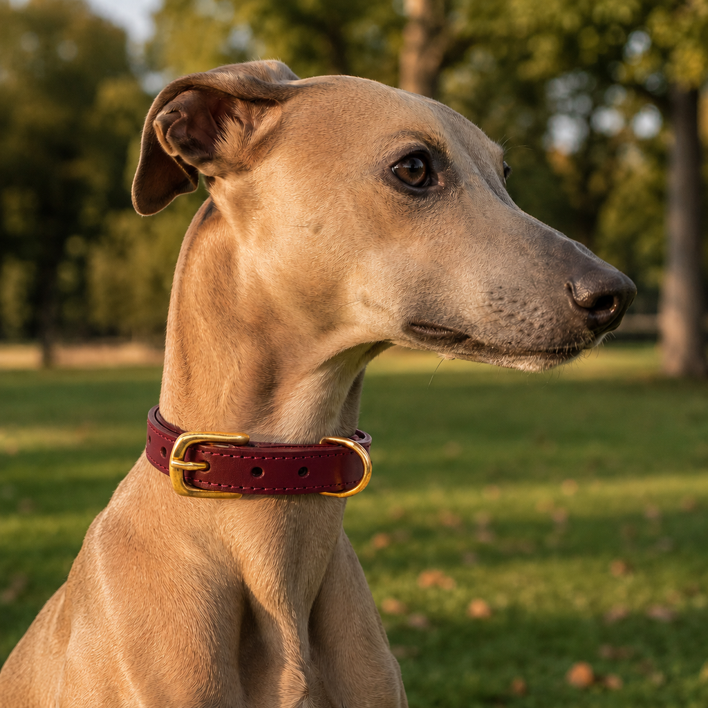 Burgundy Leather Dog Collar