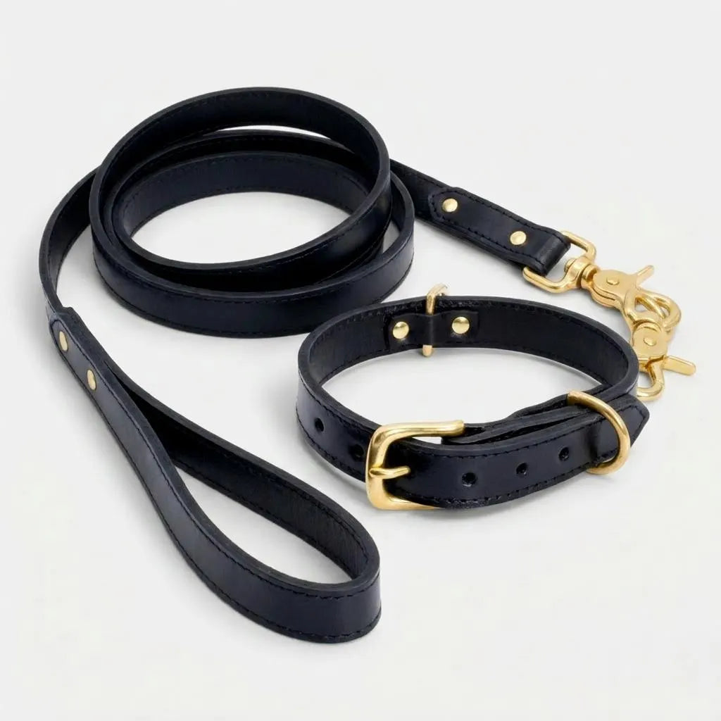 Black & Brass Leather Dog Collar & Lead Set