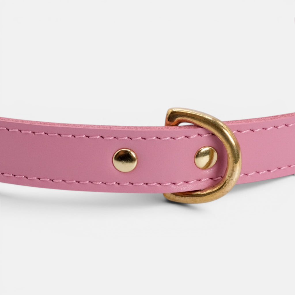 Pink Leather Dog Collar