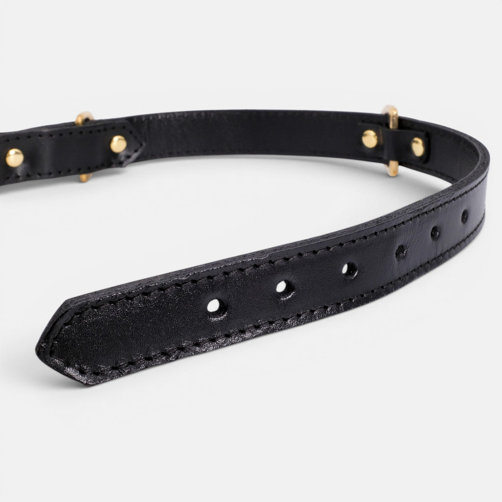 Black Leather Dog Collar