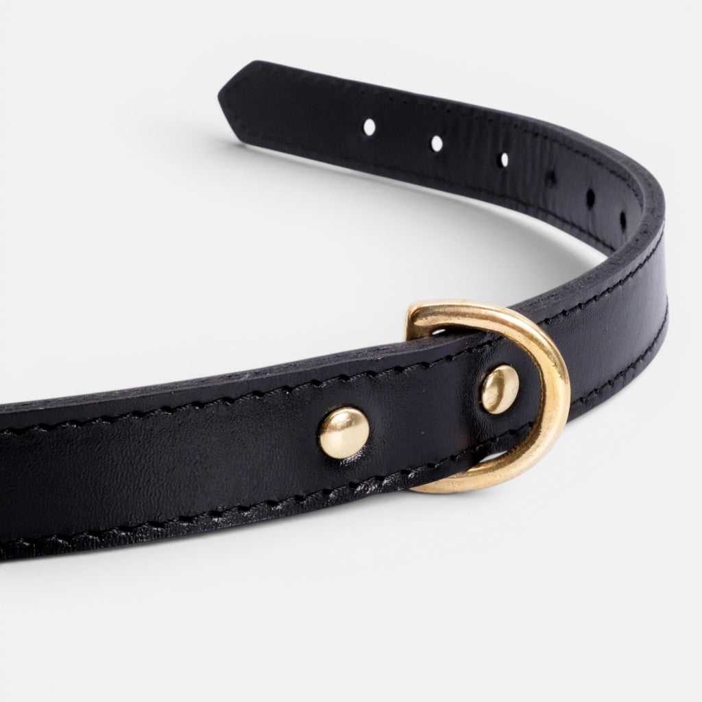 Black Leather Dog Collar