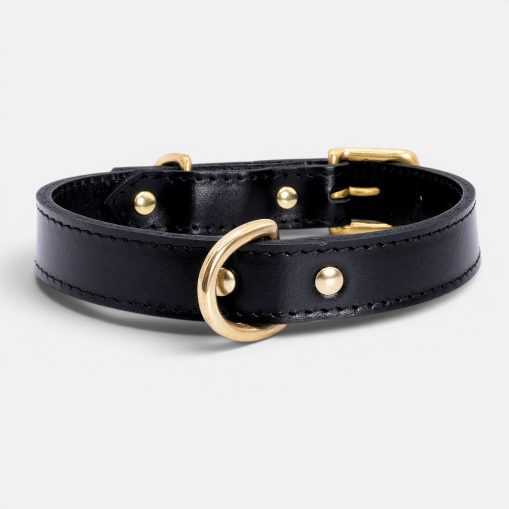 Black Leather Dog Collar
