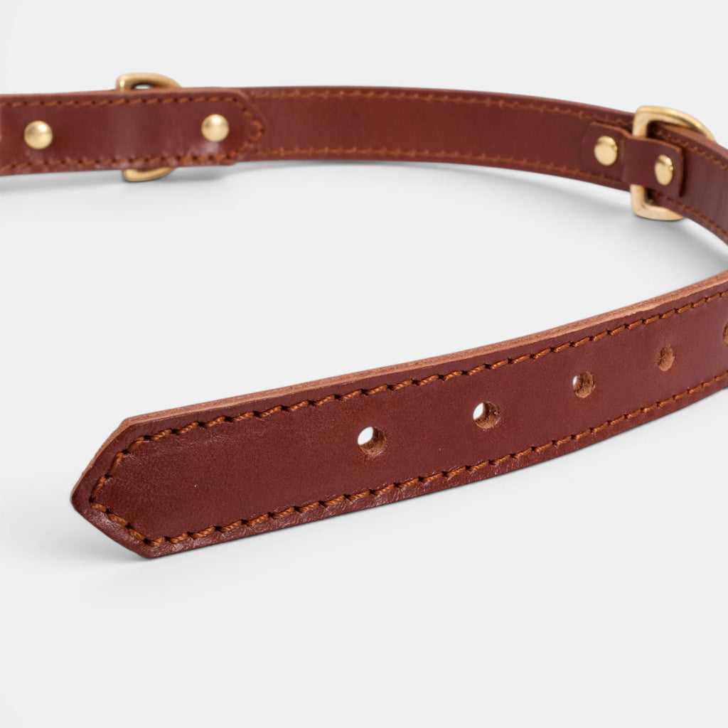Mocha Leather Dog Collar