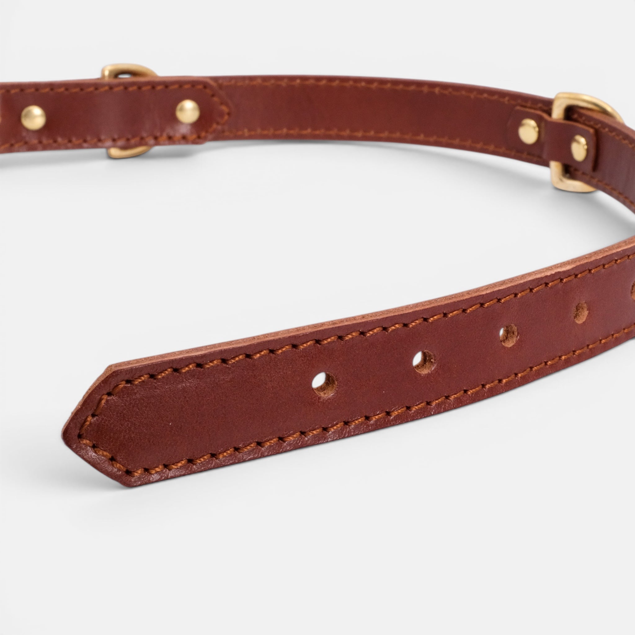 Mocha Leather Dog Collar