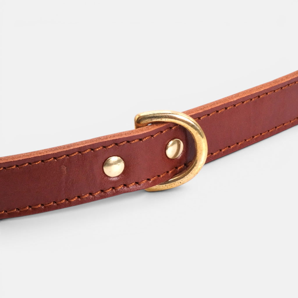 Mocha Leather Dog Collar
