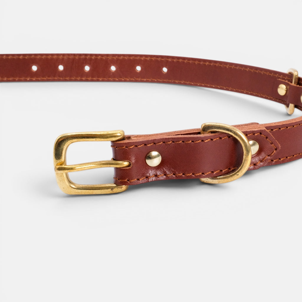 Mocha Leather Dog Collar