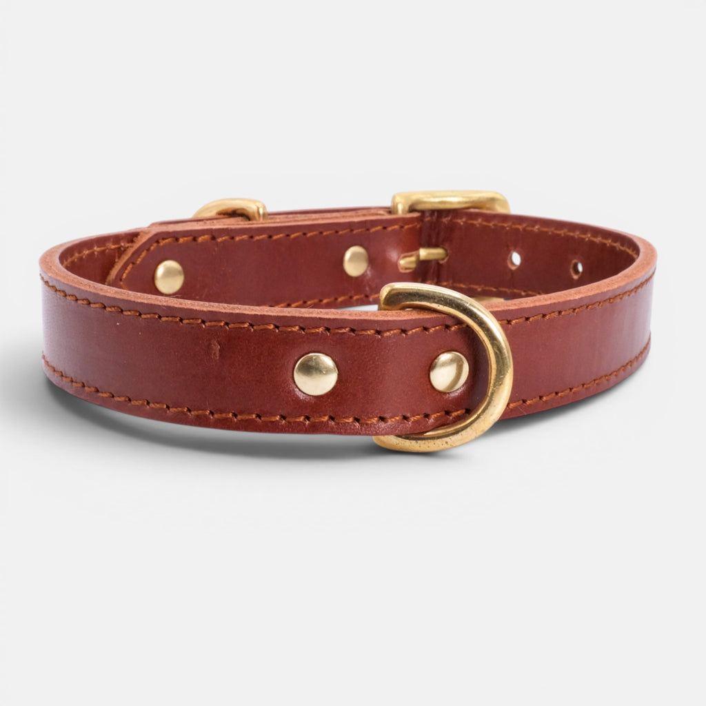Mocha Leather Dog Collar