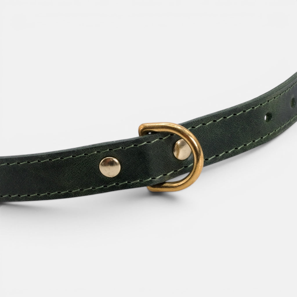 Forest Green Leather Dog Collar