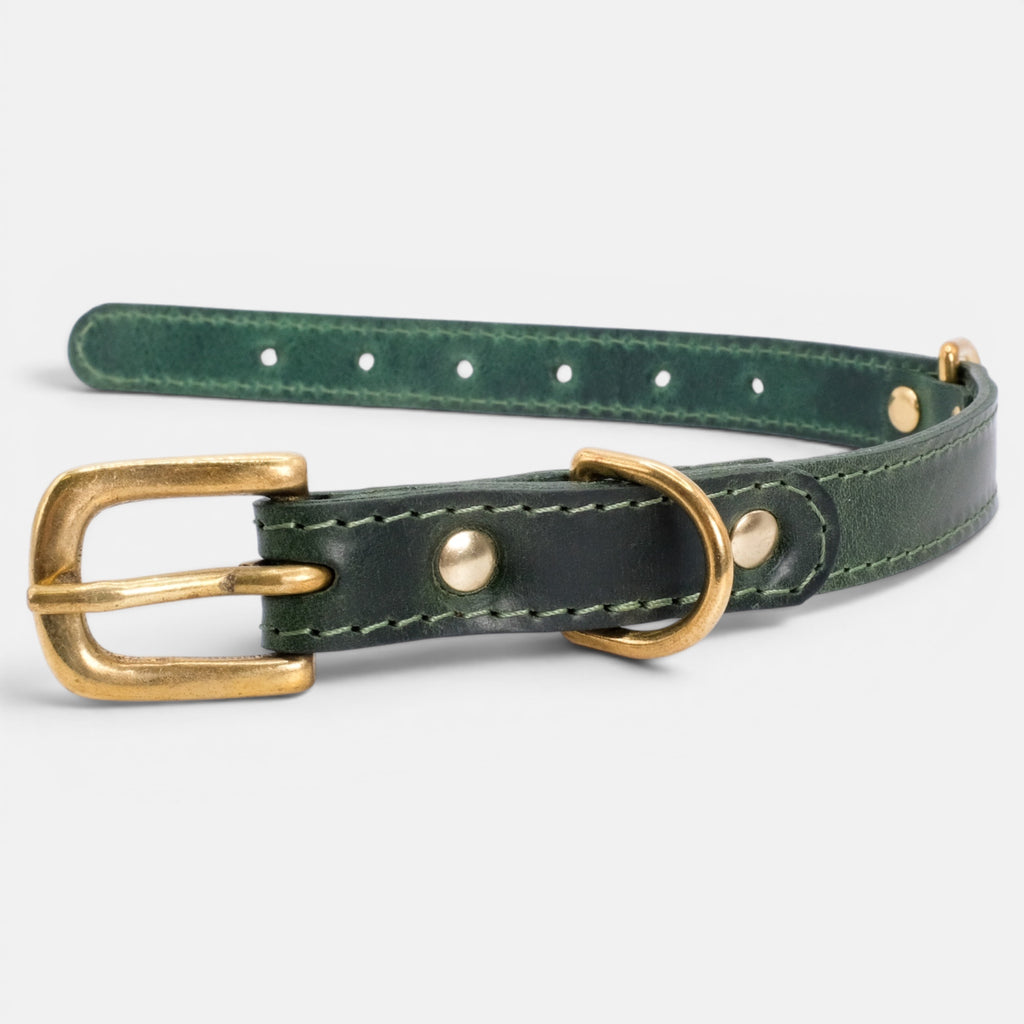Forest Green Leather Dog Collar