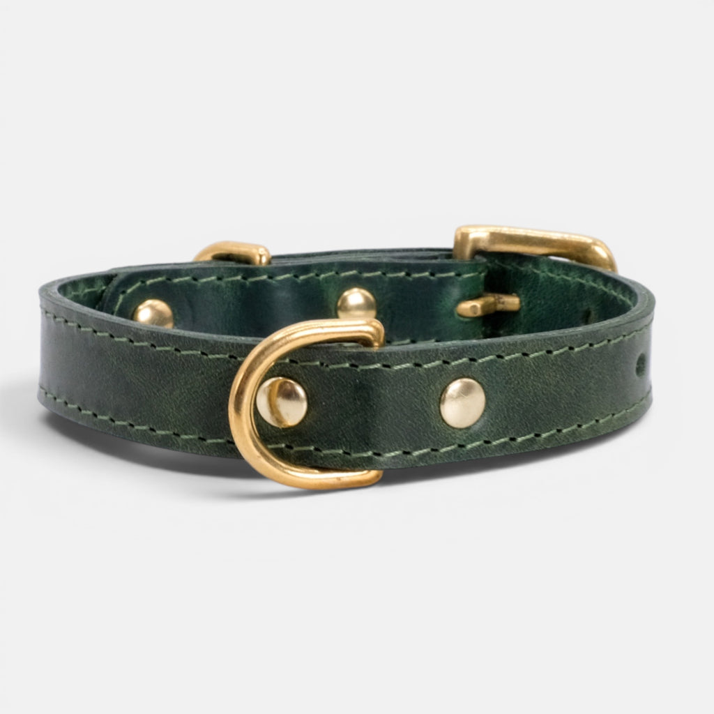 Forest Green Leather Dog Collar