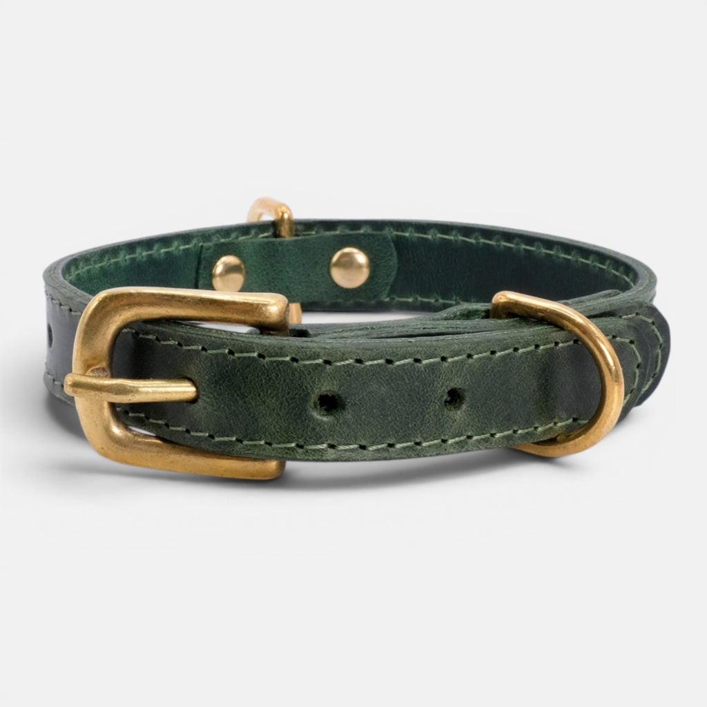 Forest Green Leather Dog Collar