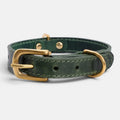 Forest Green Leather Dog Collar