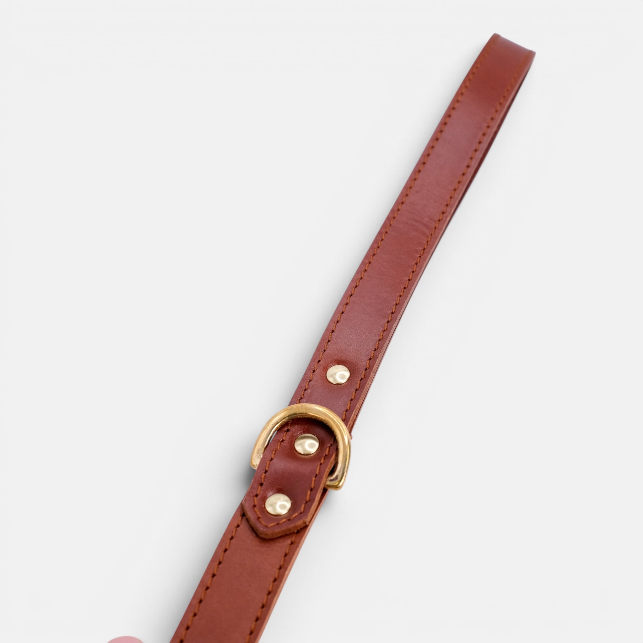 Mocha Leather Dog Lead