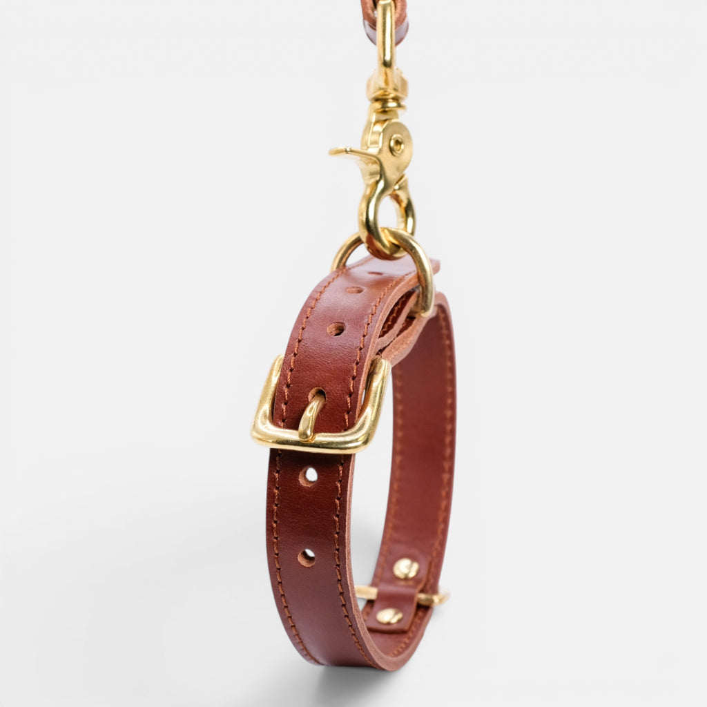 Mocha Leather Dog Collar