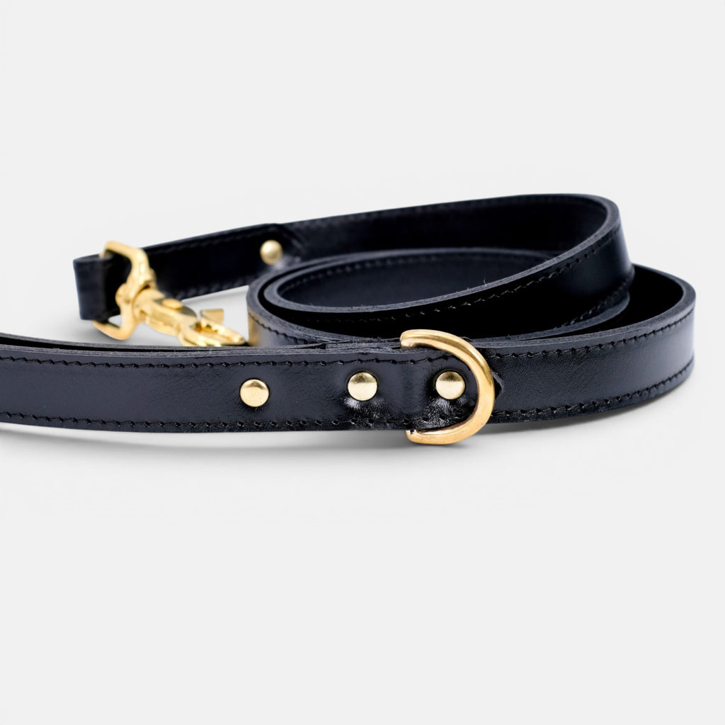 Black Leather Dog Lead